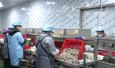 湖北味可满食品 春风送岗促就业，精准服务暖民心